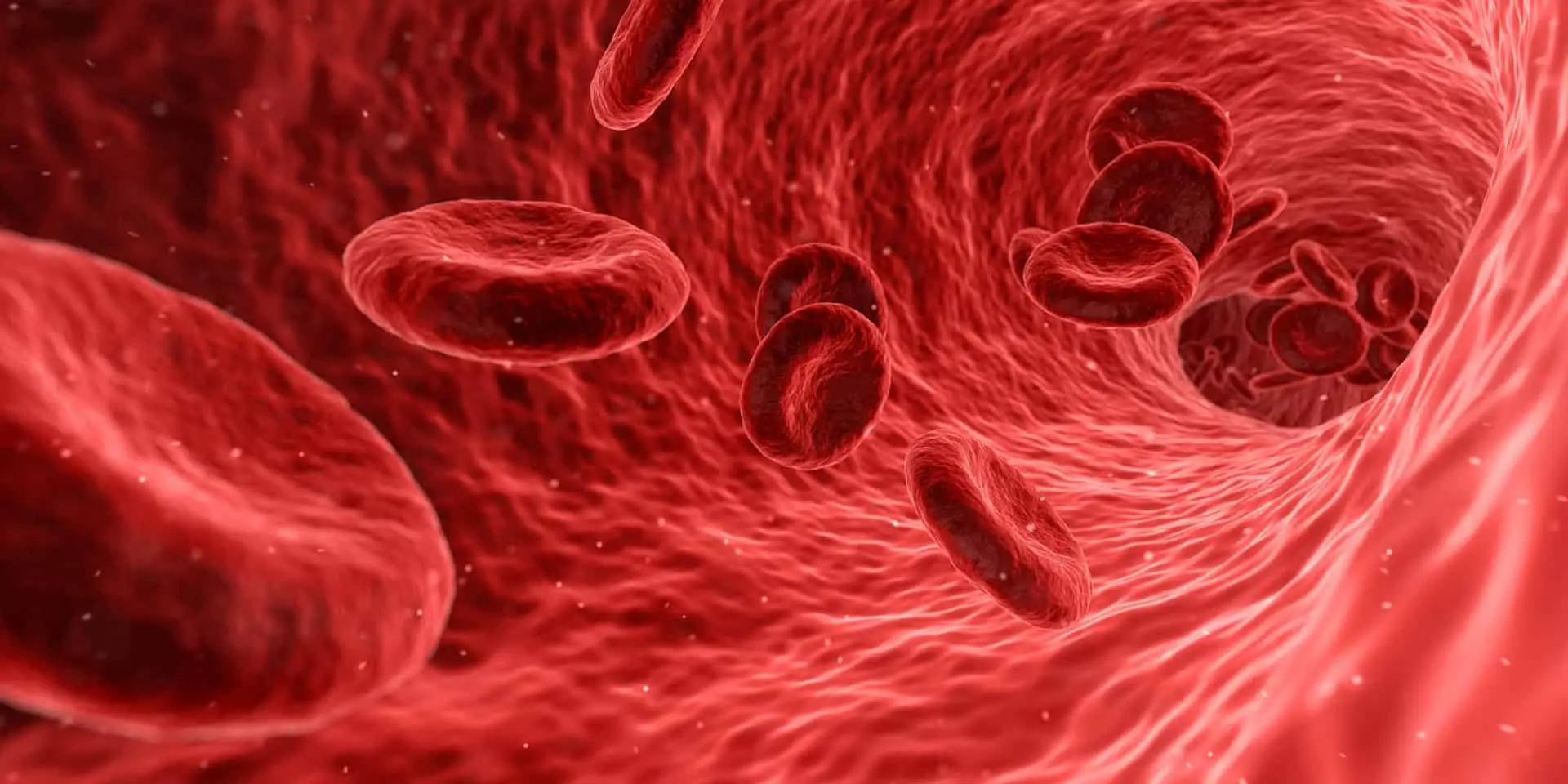 Anticoagulanti naturali: quali sono i rimedi più potenti e come agiscono sul nostro organismo