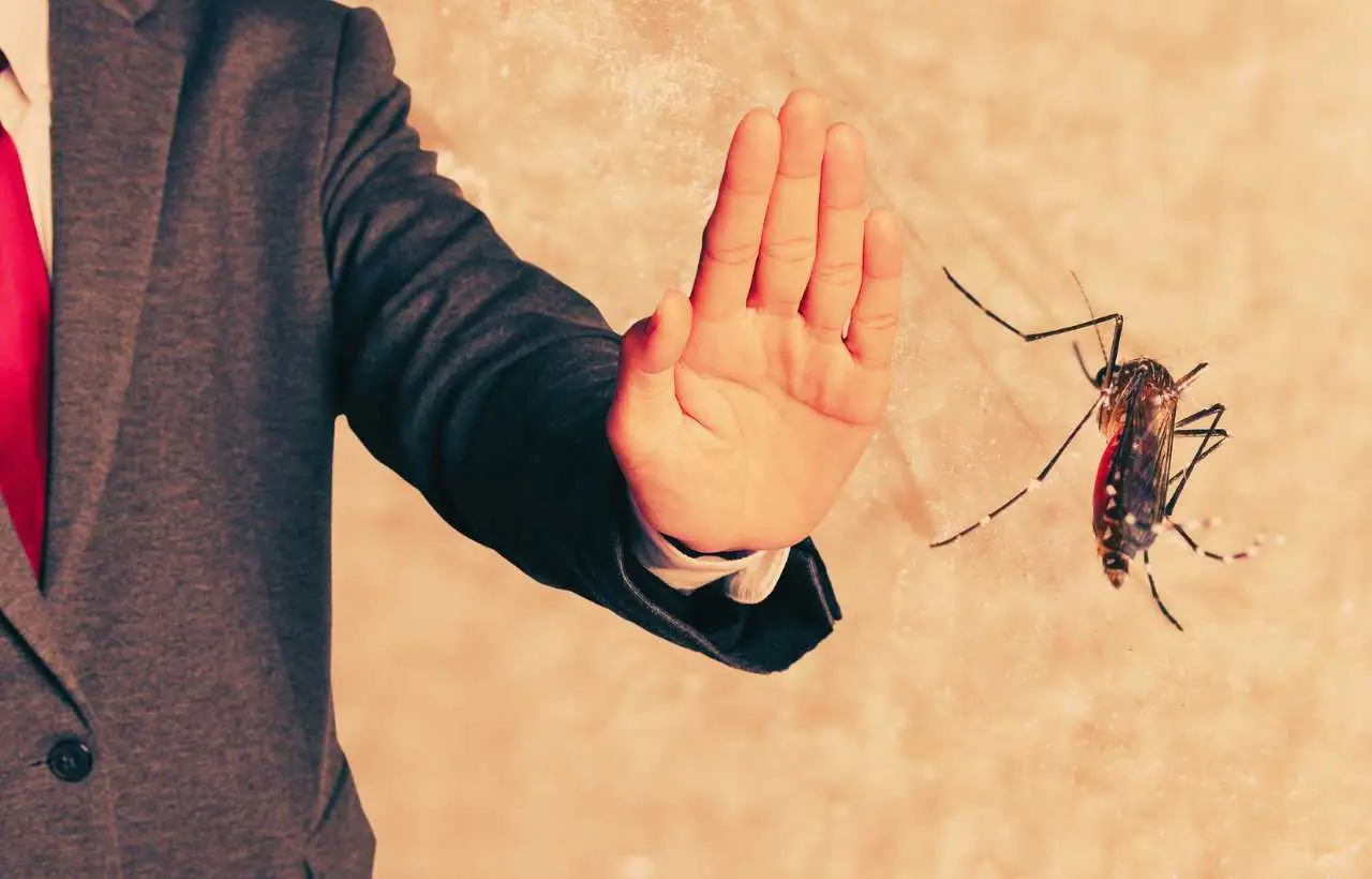 Ecco quanto può costare un impianto antizanzare per casa o giardino