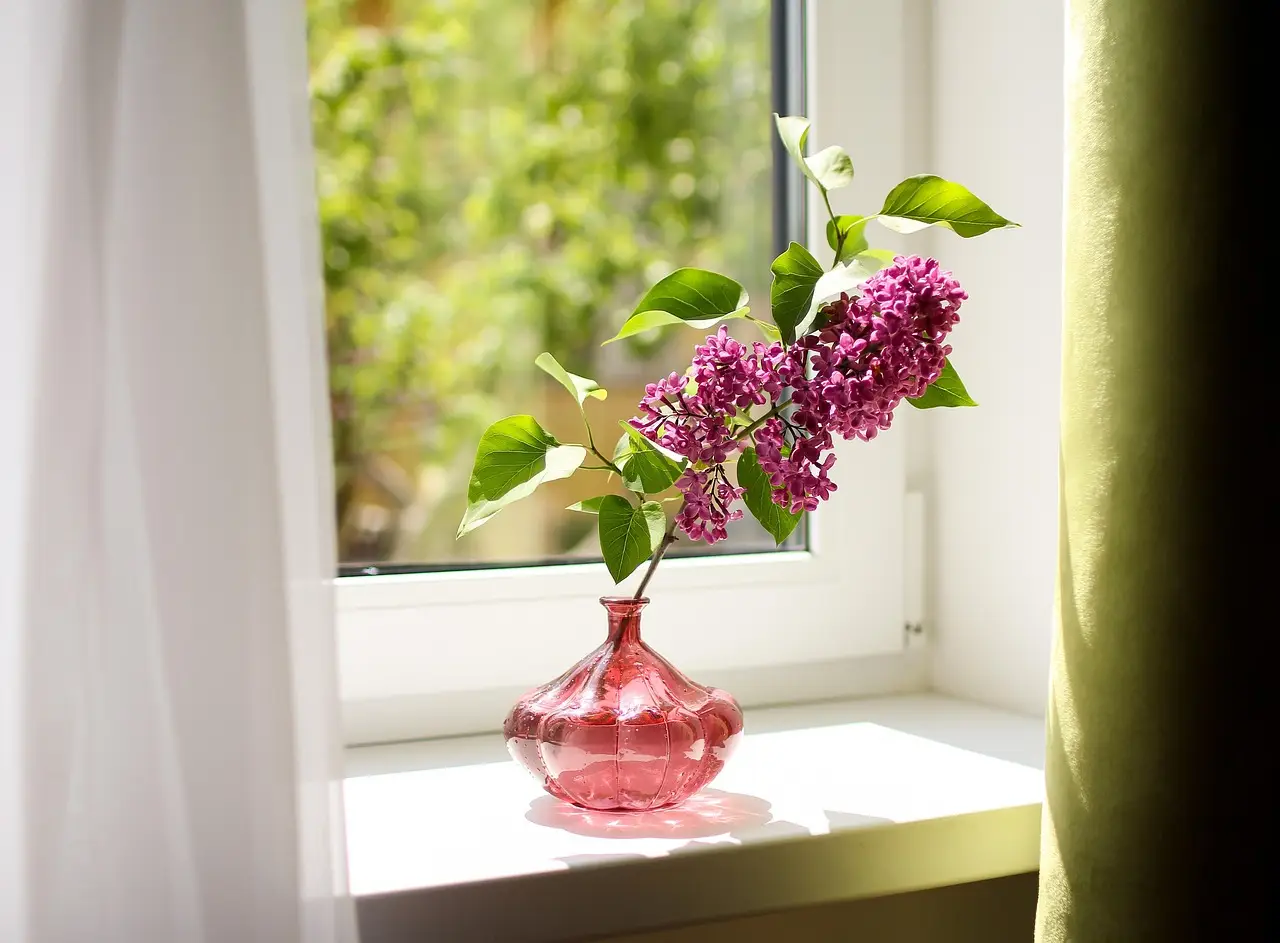 Come profumare casa senza profumatori: ecco il metodo che nessuno conosceva