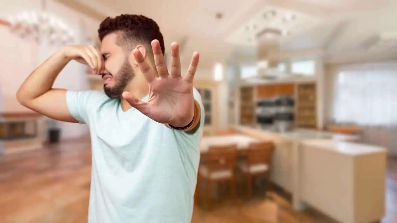 Sentire un odore sgradevole in casa: ecco cosa indica e perché non dovresti sottovalutarlo