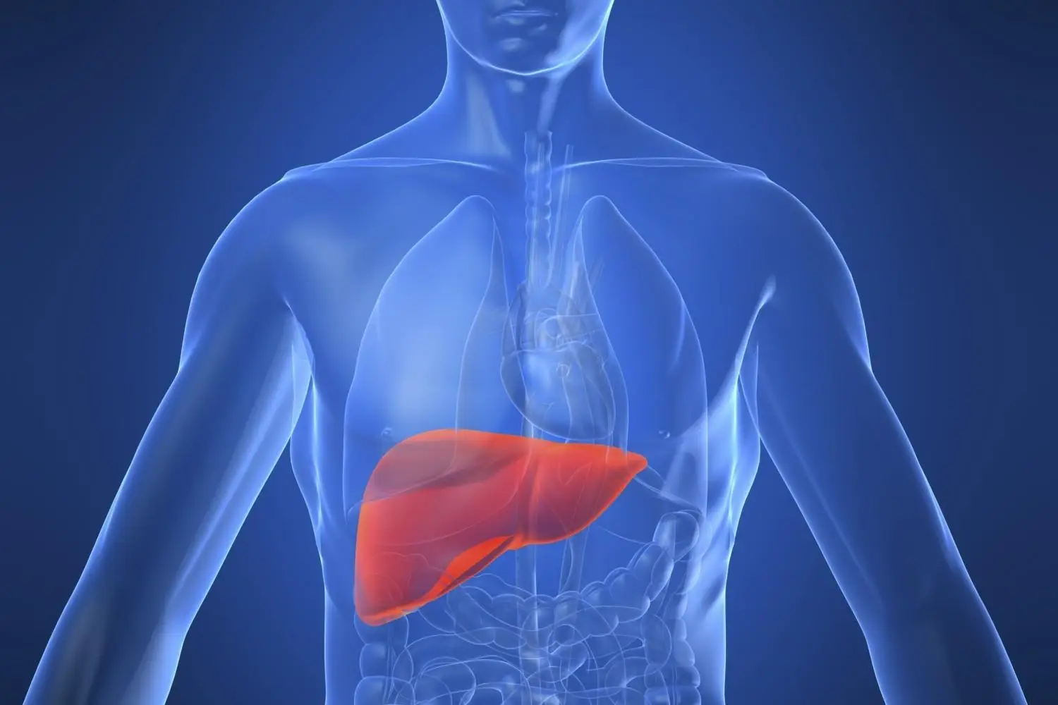 I tre frutti che aiutano il fegato a depurarsi: ecco quali inserire subito nella dieta
