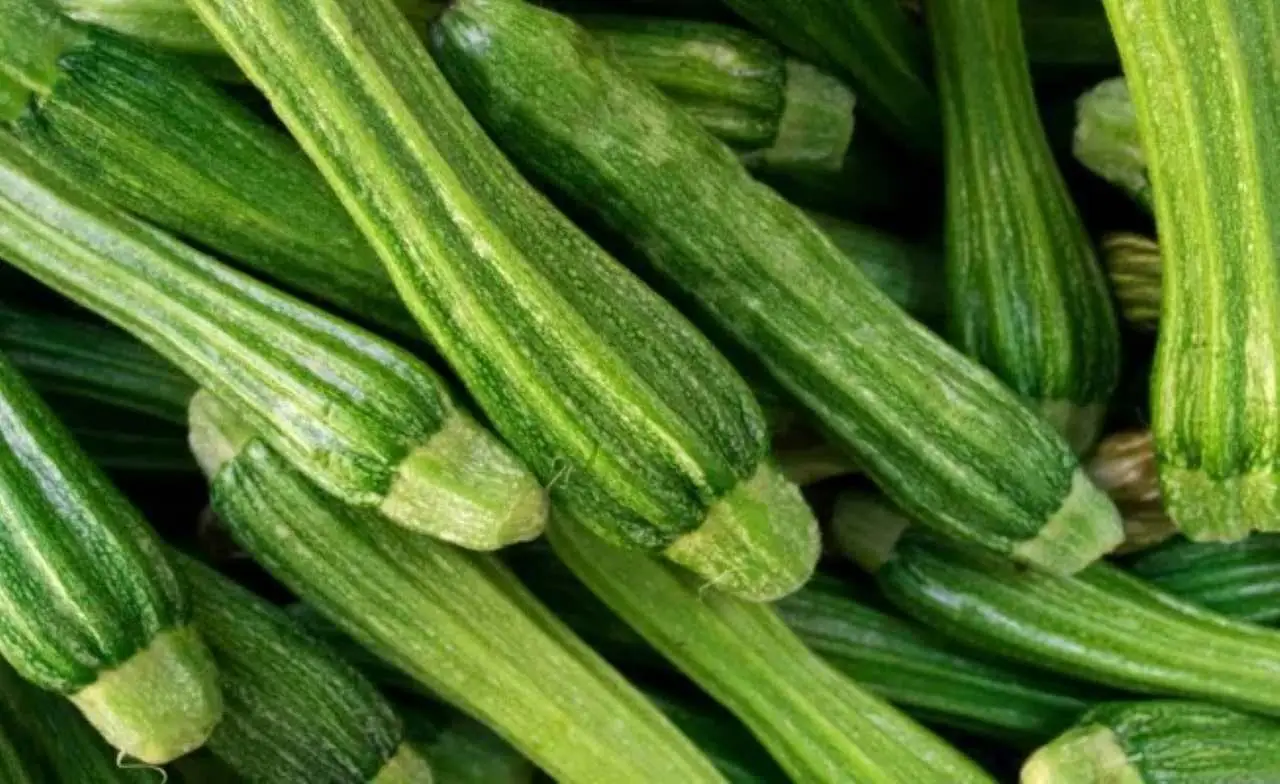 Le tue zucchine si ammalano sempre? Ecco il rimedio naturale definitivo contro funghi e parassiti