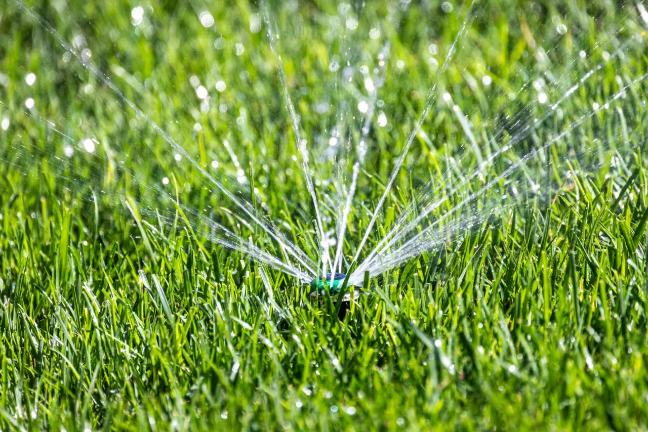 Come scegliere il miglior irrigatore per il tuo giardino: la guida