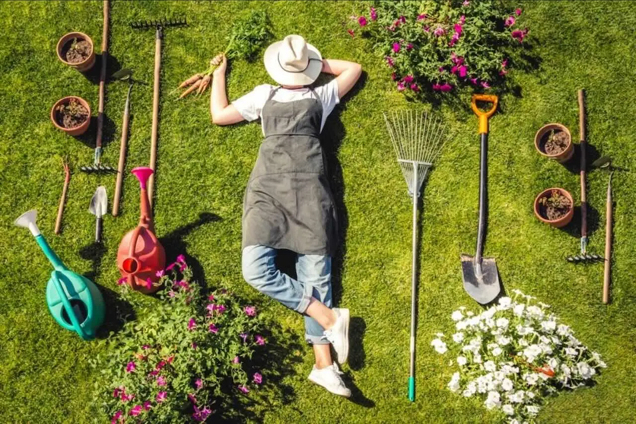 L’attrezzo agricolo indispensabile che ti farà risparmiare tempo e fatica nell’orto