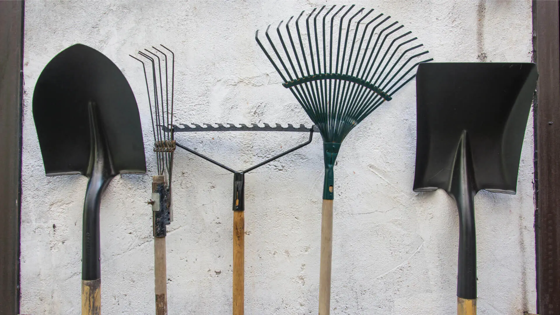 L’errore che fanno tutti e diffonde malattie alle piante: ecco come sterilizzare gli attrezzi