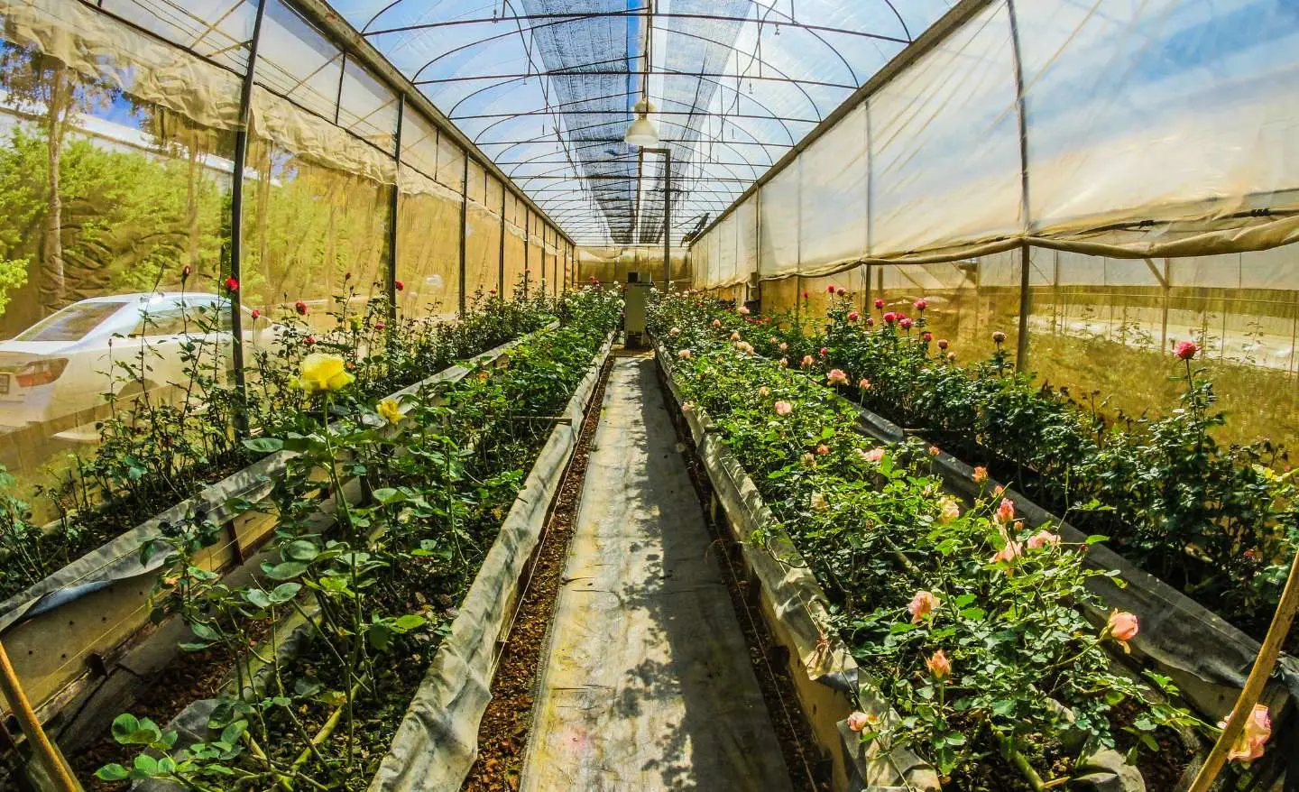 Serra bioclimatica: ecco i costi reali per installarla e se conviene davvero