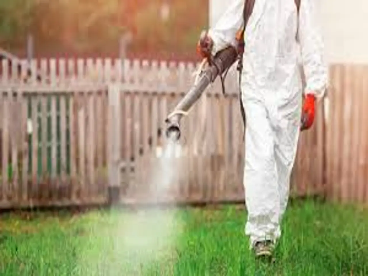 Non comprare altri veleni: ecco l’insetticida più potente ed economico in assoluto