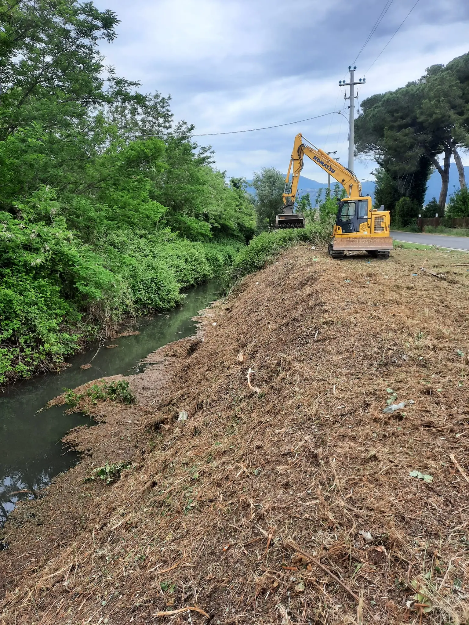 Hai un terreno scosceso e frana? Ecco le piante giuste per bloccare il terreno