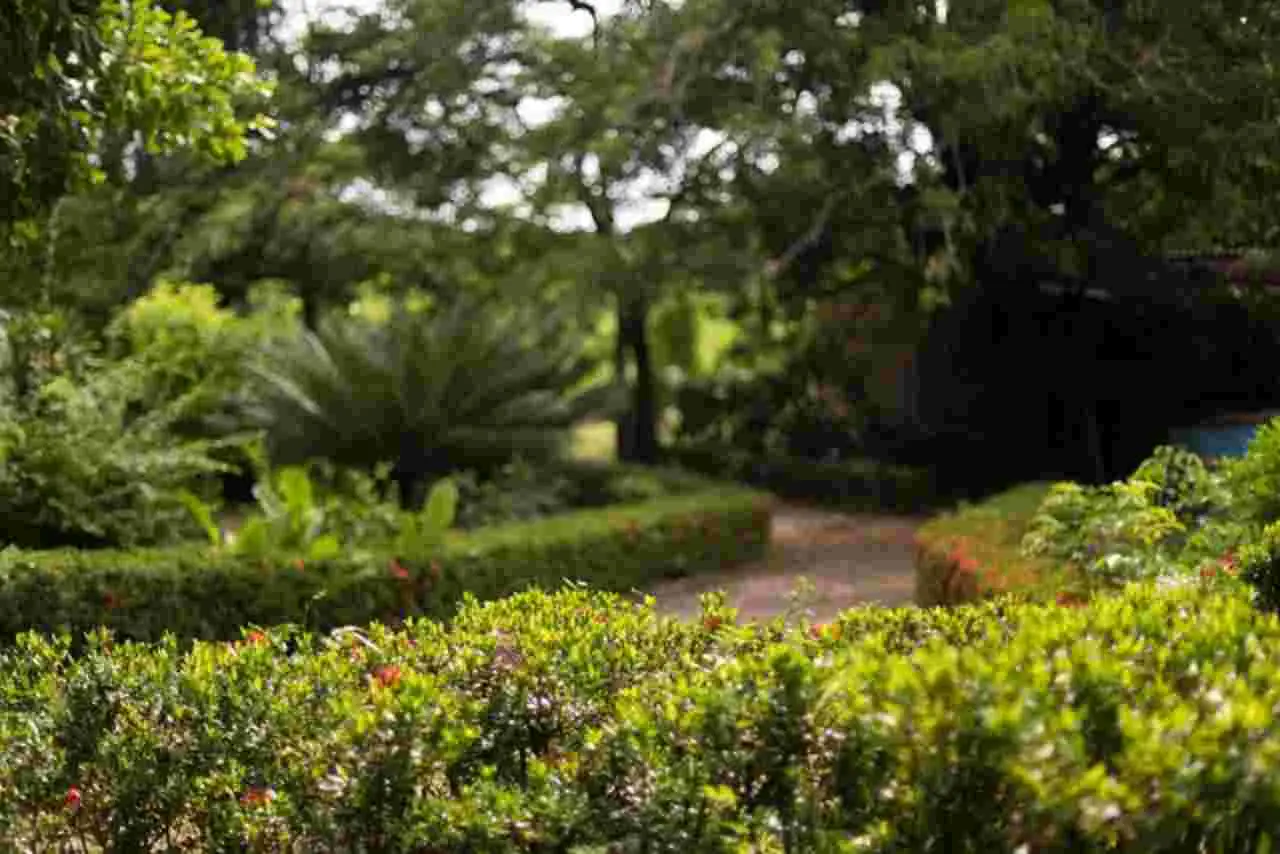 Posa del porfido ad opera incerta: ecco i costi reali e come evitare fregature