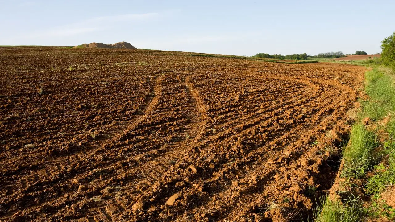 Il metodo per fare buchi profondi e precisi nel terreno senza fatica e senza attrezzi speciali