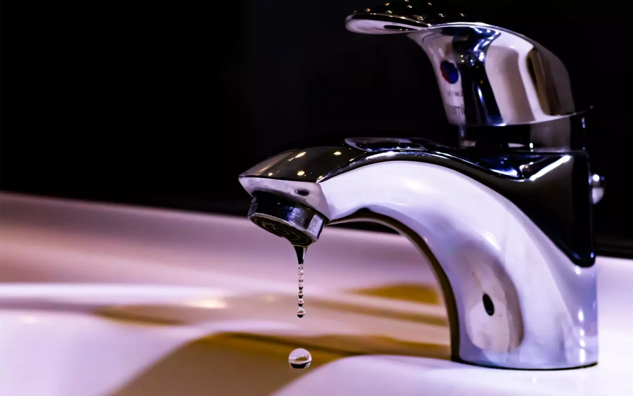 Usi l’acqua del rubinetto per le piante? Ecco perché l’acqua distillata è molto meglio