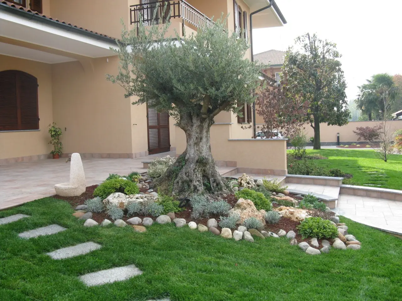 Non lasciare la base degli alberi spoglia: ecco cosa mettere per proteggerli e nutrirli