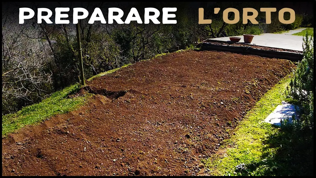 Come preparare il terreno dell’orto per l’inverno? I lavori fondamentali da fare ora