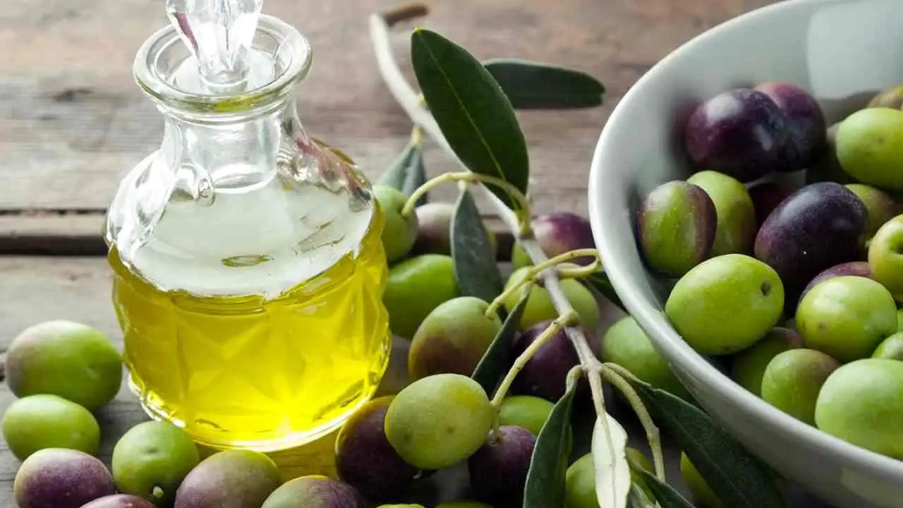 Come si fa a raccogliere le olive per fare l’olio in casa? Il metodo e le quantità minime